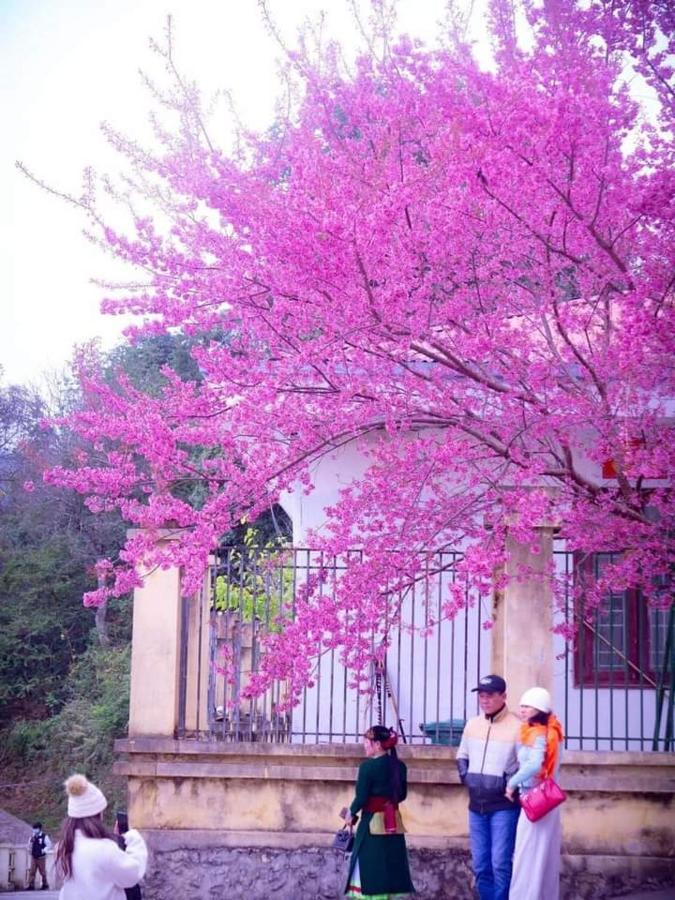 Hotel Nha Nghi T&T Dong Van  Exterior foto